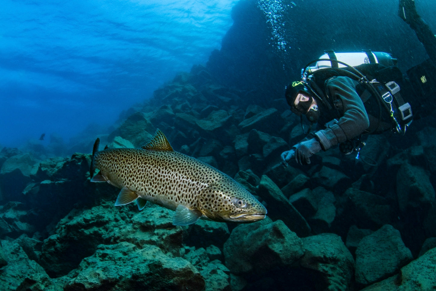 Silfra and Davíðsgjá Ultimate Diving Experience Combo