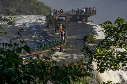 Discover Iguassu Falls: Brazilian Side Adventure with Exclusive Bird Park Tour and IGU Airport Transfer