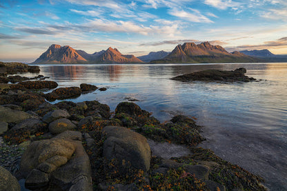 Minibus Adventure Tour in Strandir