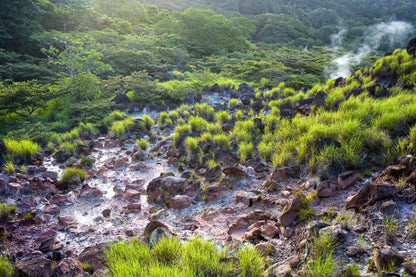 Discover the Enchanting Waterfalls and Lush Forests of Costa Rica