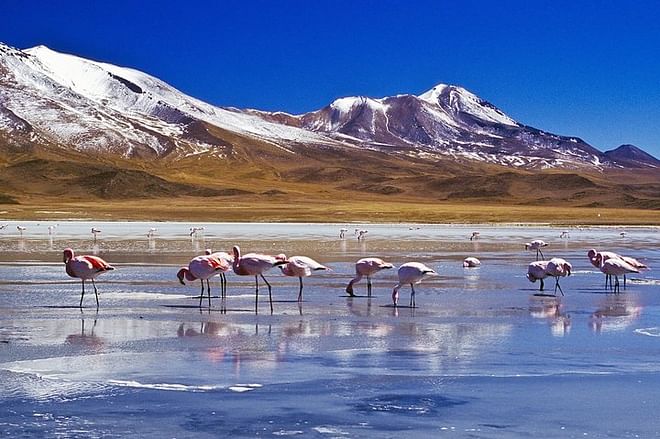 Explore the Magical Uyuni Salt Flats: 4-Day Adventure from San Pedro de Atacama