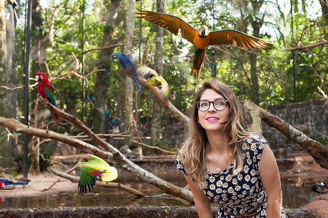 Exclusive Brazilian Adventure: Itaipu Dam Exploration, Bird Park Discovery, and Iguassu Falls Experience