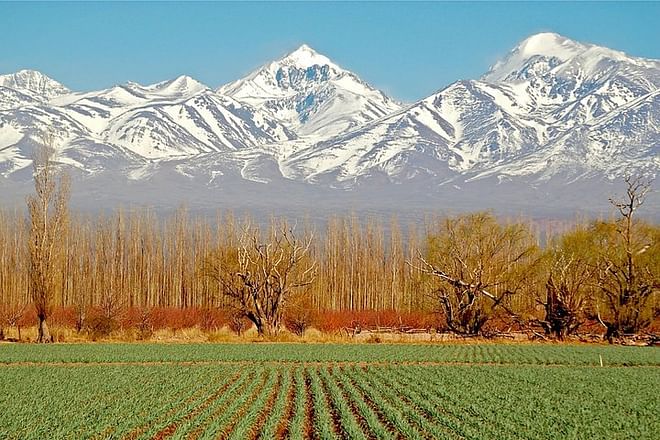 Andes and Mendoza Adventure: 4-Day Exploration Getaway