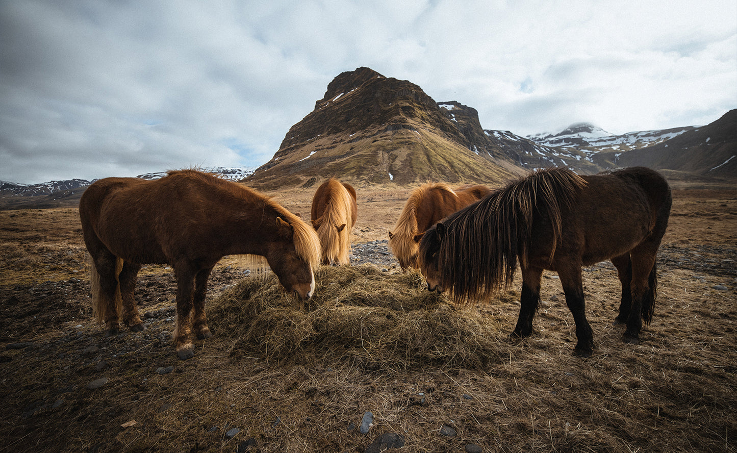 Private Super Jeep Excursion with Photo Package on Snæfellsnes Peninsula