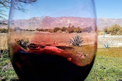 Explore Mendoza: 4-Day Adventure through Fine Wines and Breathtaking Landscapes