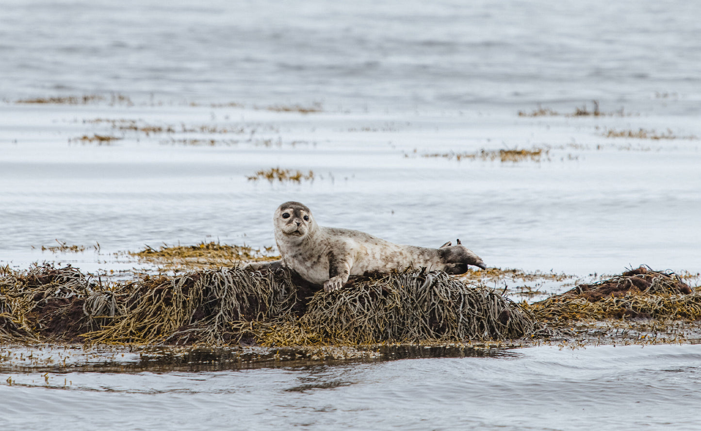 Snæfellsnes Peninsula Private Tour with Complimentary Photo Package