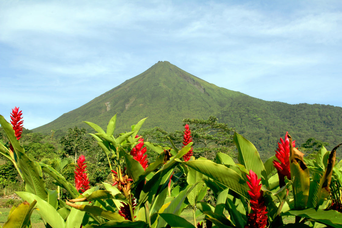 Essential Costa Rica Self-Drive Tour: Explore Manuel Antonio National Park and More