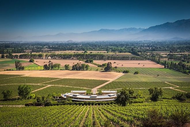 Exclusive Seven-Day Wine Tour through Chile and Argentina's Premier Vineyards