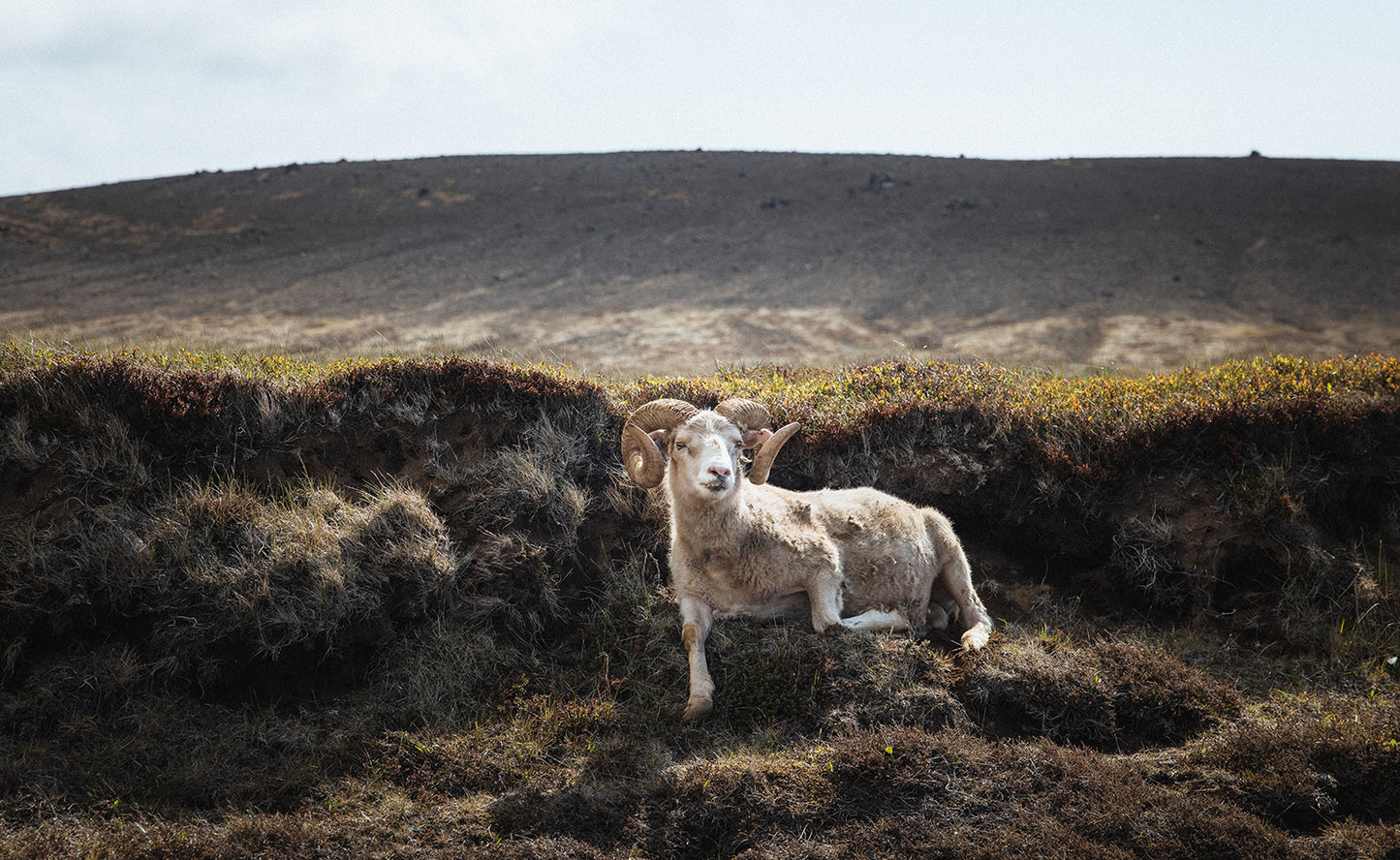 Private Super Jeep Tour of Reykjanes Peninsula with Photo Package