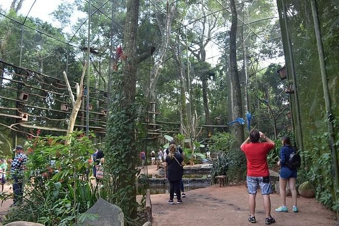 Exclusive Gran Meliá Iguazú Tour: Discover Iguassu Falls from Brazil, Explore the Bird Park and Embark on the Macuco Safari