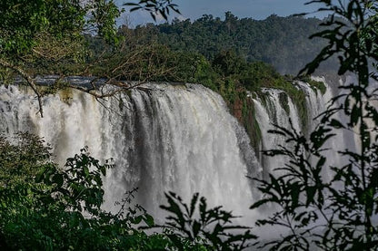 Iguassu Falls Round-Trip Airport Transfers with Brazilian Side Exploration and Macuco Safari Adventure