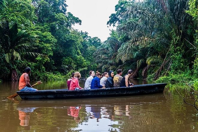 Tortuguero National Park 3-Day Exploration Package