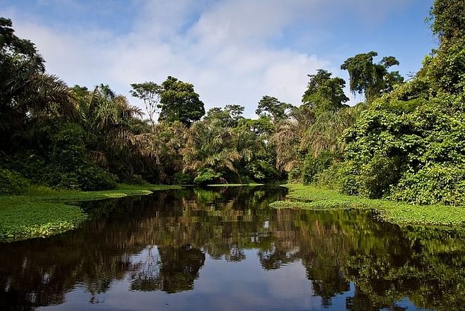 Tortuguero National Park 2-Day, 1-Night Getaway Package