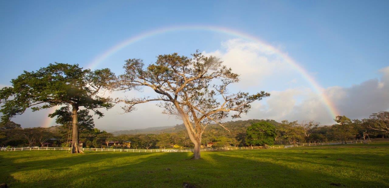 Discover the Enchanting Waterfalls and Lush Forests of Costa Rica