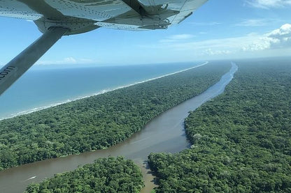 Tortuguero National Park 3-Day Exploration Package