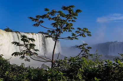 Full-Day Private Guided Tour of Iguazu Falls: Explore Both Argentina and Brazil