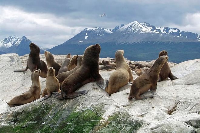 Discover Patagonia: Ultimate 15-Day Exploration of Argentina and Chile's Natural Wonders