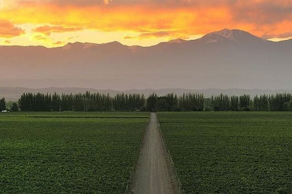 Discover the Charms of Mendoza and San Juan: A 6-Day Journey Through Scenic Landscapes and Historic Marvels