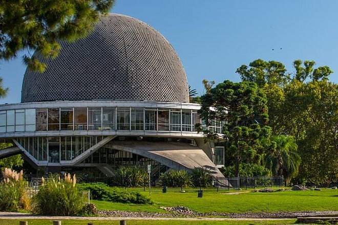 Exploring Palermo's Woods: A Deep Dive into the City's Natural History