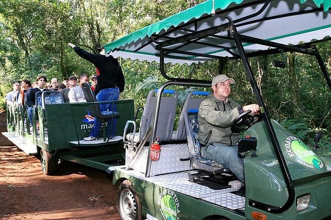 Iguassu Falls Round-Trip Airport Transfers with Brazilian Side Exploration and Macuco Safari Adventure