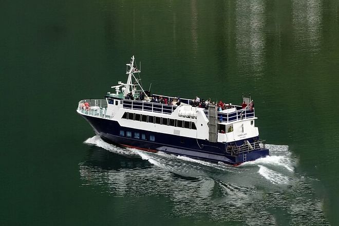 Arctic Rose Whale Watching Adventure in Reykjavík Bay