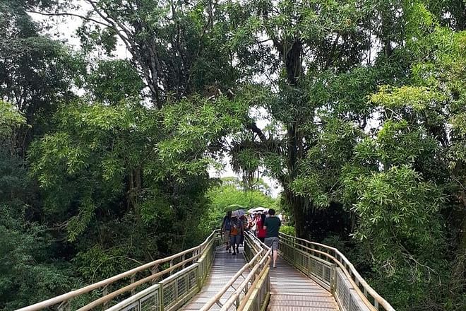 Private Exploration of Iguazu Falls: Unveiling the Majesty of Argentina