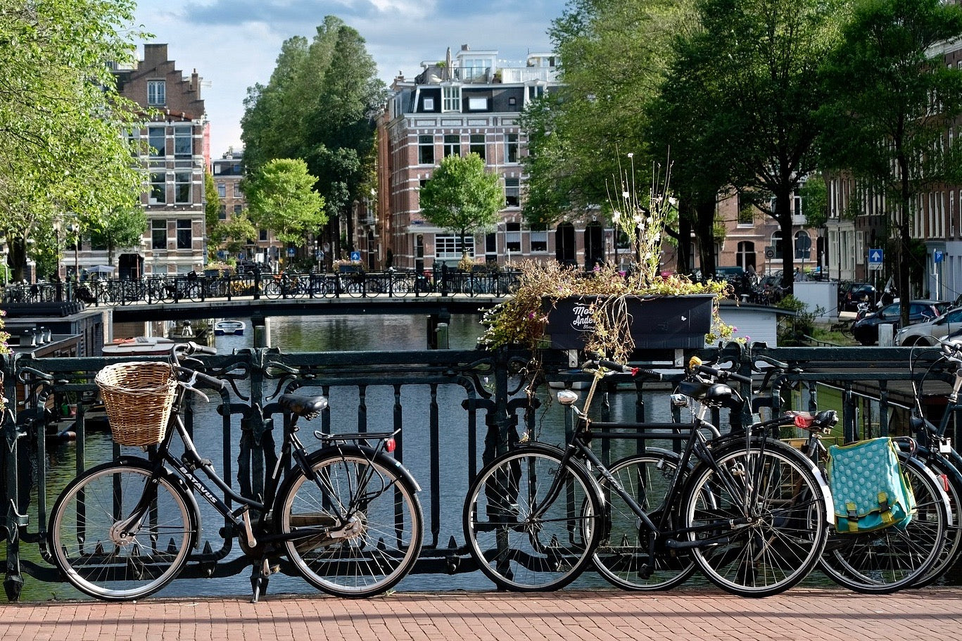 Discover Belgium and Netherlands: 7-Day Tour with 11 Memorable Excursions in a Minivan