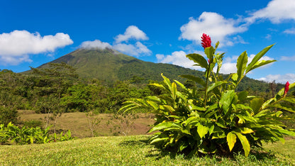 Discover Arenal and Monteverde: Unveil Costa Rica's Stunning Nature on a Short Adventure