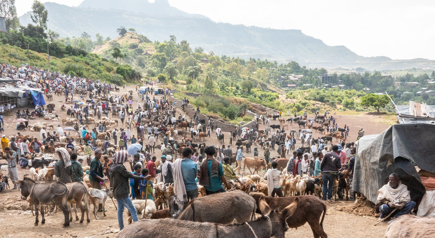 Ultimate Northern Ethiopia Historical Exploration Adventure