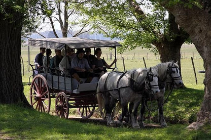 Ultimate Buenos Aires Adventure: City Tour, Traditional Gaucho Experience & Tango Dinner Show