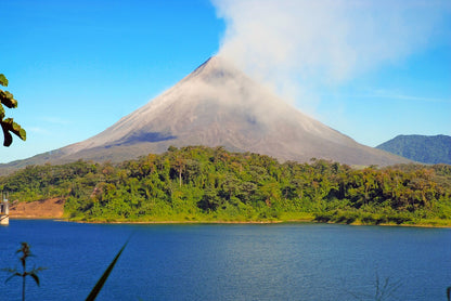 Enchanted Costa Rican Forest Exploration