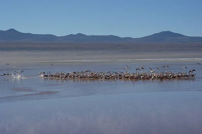 Explore the Magical Uyuni Salt Flats: 4-Day Adventure from San Pedro de Atacama