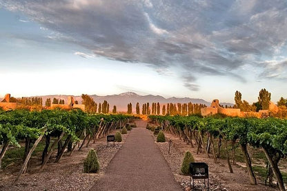 Discover the Charms of Mendoza and San Juan: A 6-Day Journey Through Scenic Landscapes and Historic Marvels