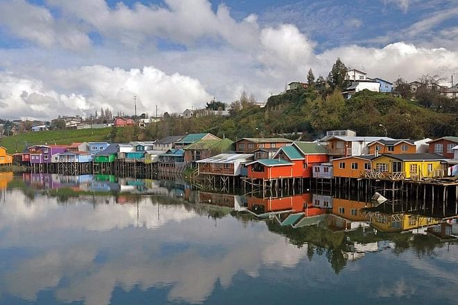 Luxury Full-Day Excursion to Chiloe Island, Ancud, and Penguin Colony