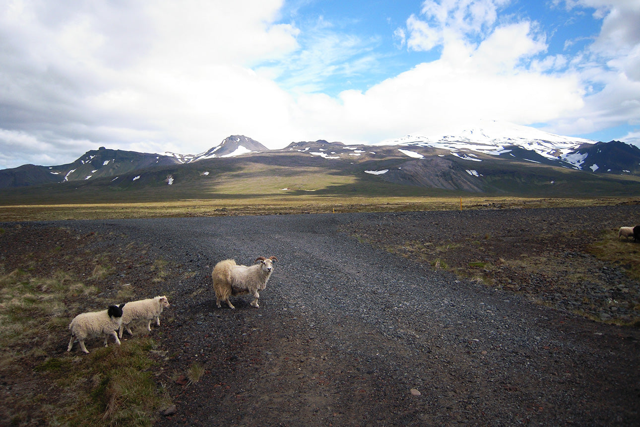 Explore the Enchanting Snæfellsnes Peninsula: A Journey Through Iceland's Natural Wonders