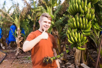 Coastal Adventure from Puerto Limon: Discovering Cahuita National Park and Banana Plantation