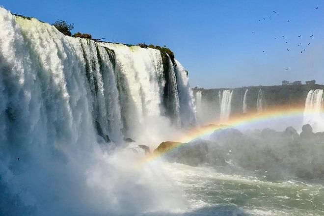 Exclusive Gran Meliá Iguazú Tour: Discover Iguassu Falls from Brazil, Explore the Bird Park and Embark on the Macuco Safari