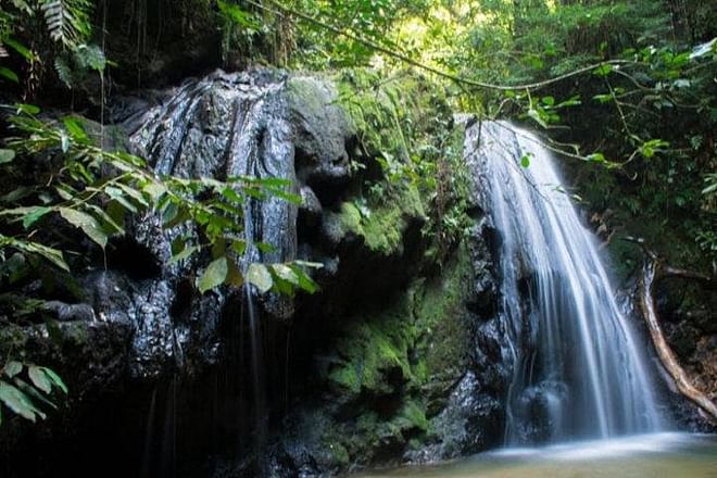 Full-Day Wilderness Exploration: An Adventure Hike Through Untouched Nature