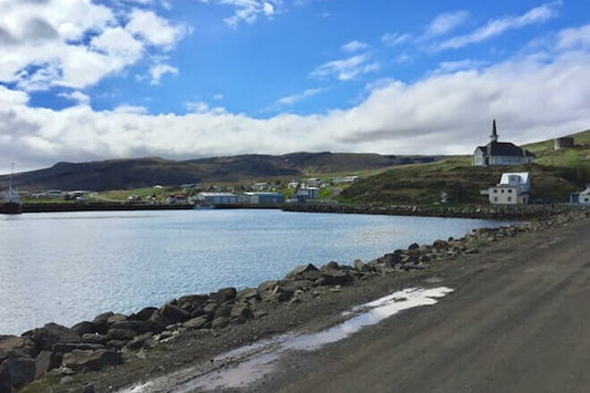 Minibus Adventure Tour in Strandir