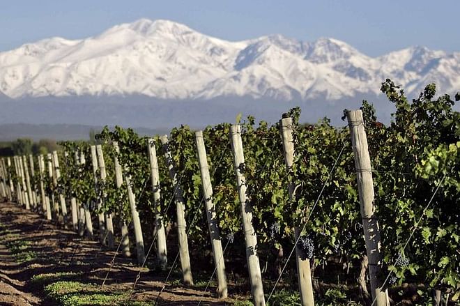 Explore Mendoza: 4-Day Adventure through Fine Wines and Breathtaking Landscapes