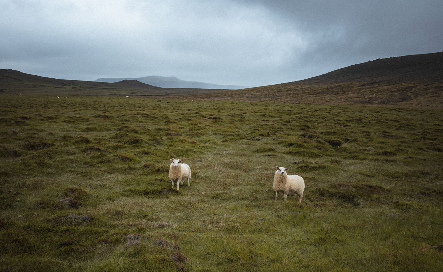 Private Super Jeep Tour of Reykjanes Peninsula with Photo Package