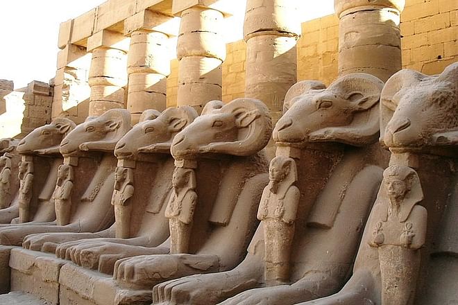 Discover Ancient Egypt's Splendor: Karnak & Luxor Temple Half-Day Adventure