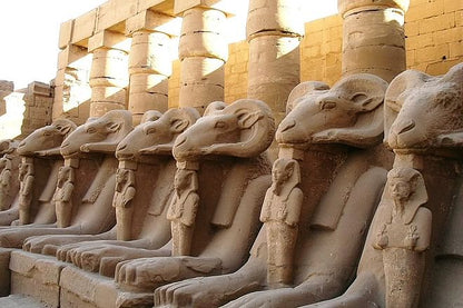 Discover Ancient Egypt's Splendor: Karnak & Luxor Temple Half-Day Adventure