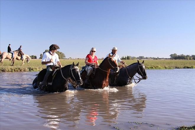 Ultimate Buenos Aires Adventure: City Tour, Traditional Gaucho Experience & Tango Dinner Show