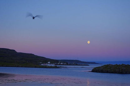 Minibus Adventure Tour in Strandir