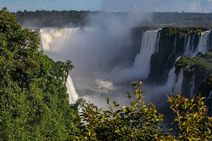 Discover Iguassu Falls: Brazilian Side Adventure with Exclusive Bird Park Tour and IGU Airport Transfer