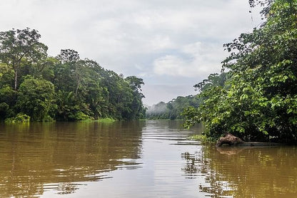 Tortuguero National Park 2-Day, 1-Night Getaway Package