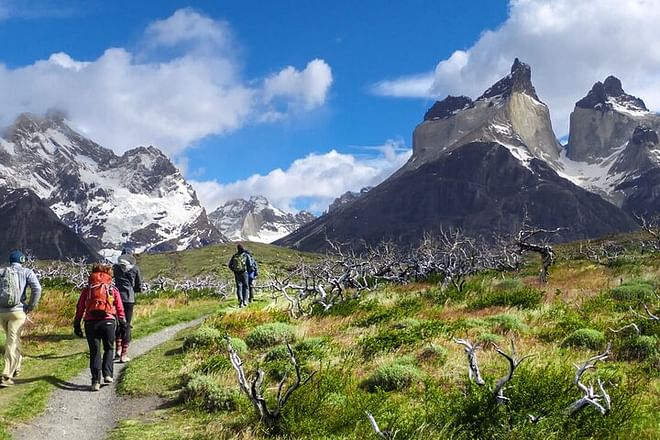 Unforgettable 4-Day Torres del Paine Hiking Adventure from Puerto Natales