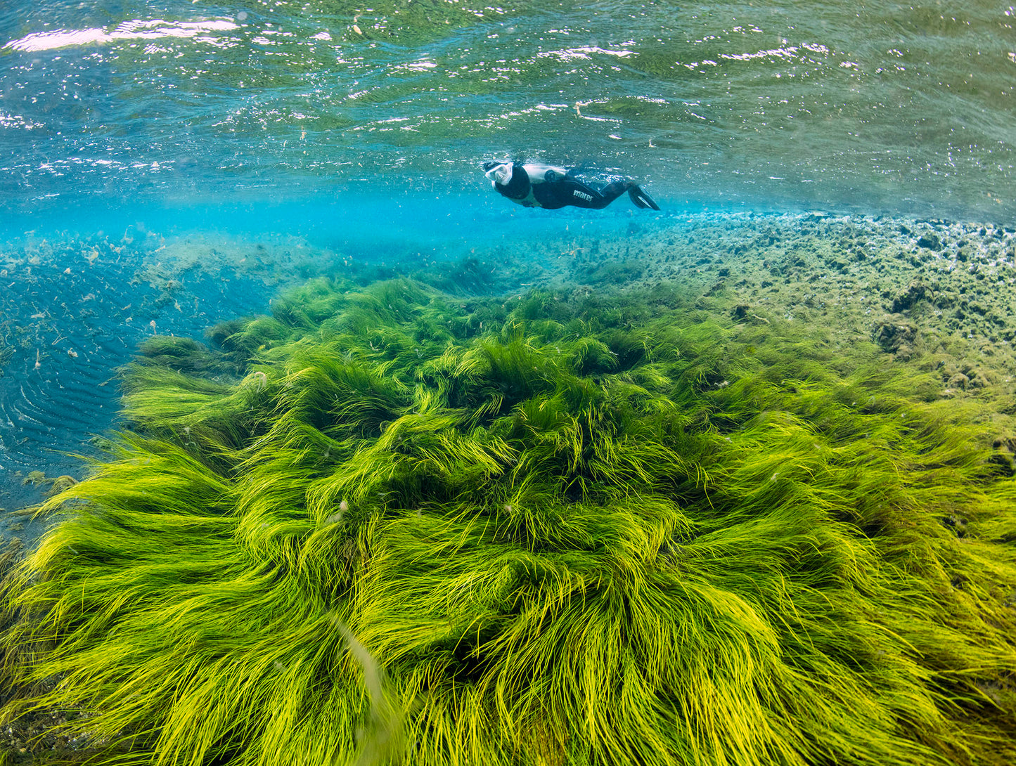 Snorkeling Adventure at Bubbling Sands