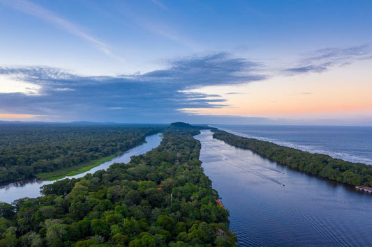 Explore the Best of Costa Rica: Unveiling the Marvels of Manuel Antonio National Park